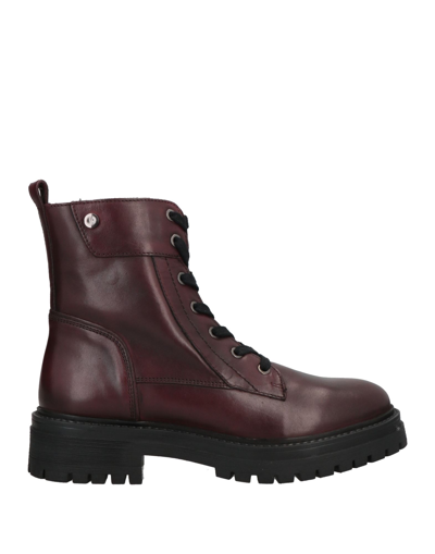 Geox Ankle Boots In Maroon