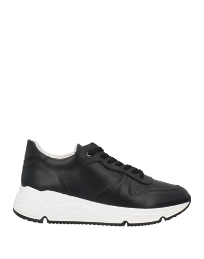 Berna Sneakers In Black
