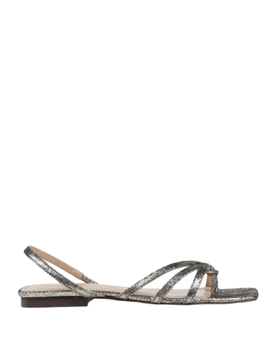 Manila Grace Toe Strap Sandals In Grey