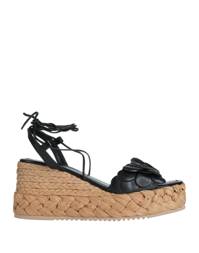 Emanuélle Vee Espadrilles In Black