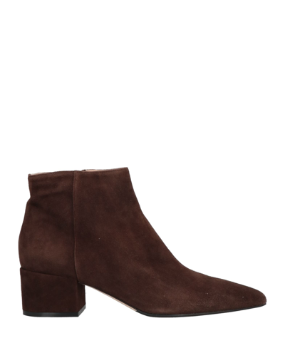 Sergio Rossi Ankle Boots In Cocoa