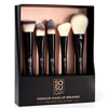 SOSU THE 5 PIECE FACE COLLECTION BRUSH SET
