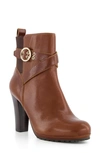 Dune London Oreana Bootie In Tan