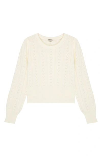 Habitual Kids' Kids' Pointelle Sweater In Off-white