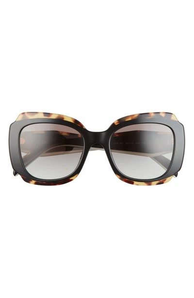 Prada Bicolor Square Acetate Sunglasses In Black / Havana
