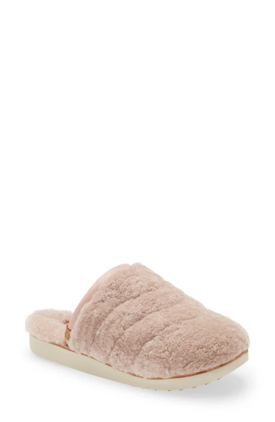 Olukai Pupu Mua Genuine Shearling Scuff Slipper In Pink Sea Salt/ Pink Sea Salt