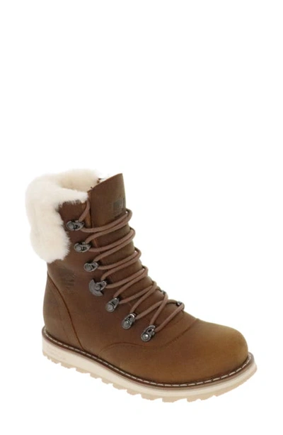 Royal Canadian Cambridge Waterproof Boot With Genuine Shearling Trim In Brown