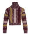 Dsquared2 Striped Turtleneck Cropped Sweater In Multicolor