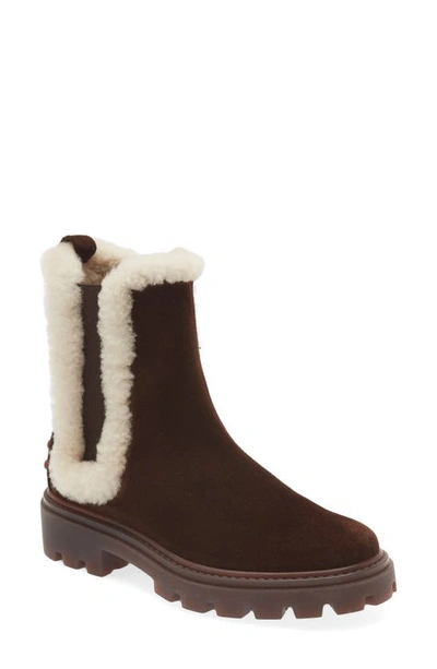 Tod's Gomma Genuine Shearling Lined Chelsea Boot In Brown