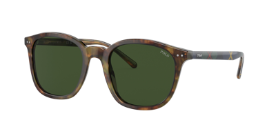 Polo Ralph Lauren Man Sunglasses Ph4188 In Bottle Green