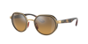 Ray Ban Ray In Braun,grau