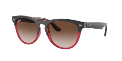 Ray Ban Ray In Red   /   Red. / Brown / Grey