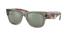 Ray Ban Ray In Silber