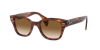 Ray Ban Ray In Braun