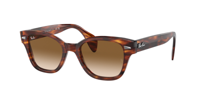Ray Ban Ray In Braun