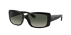 Ray Ban Ray In Grey
