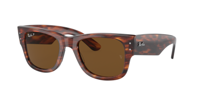 Ray Ban Ray In Brown