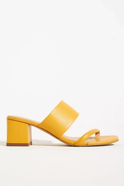 Matisse Fade Block Heel Sandals In Saffron