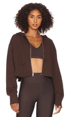 Year Of Ours The Perfect Zip Up Hoodie In Dark Oak