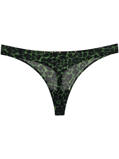 Marlies Dekkers Rhapsody Leopard Print Thong In Green
