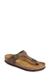 Birkenstock Gizeh Birko-flor Flip Flop In Brown Moca