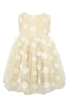 Popatu Kids' 3d Floral Appliqué Tulle Dress In Ivory