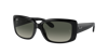 Ray Ban Rb4389 Sunglasses In Grey