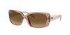 Ray Ban Ray In Brown