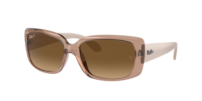 Ray Ban Ray In Brown