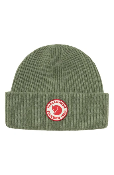 Fjall Raven 1960 Logo Beanie In Caper Green