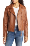 Sam Edelman Leather Moto Jacket In Cognac