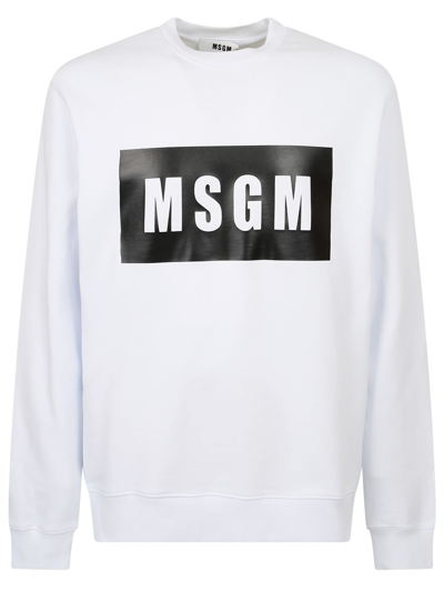 Msgm Branded Sweatshirt In Multi-colored