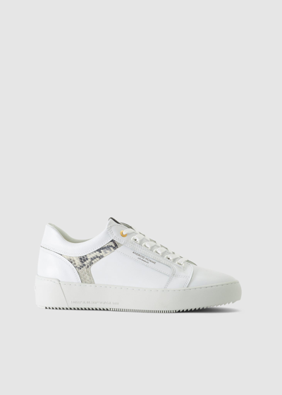 Android Homme Mens Venice Leather Viper Trainers In In White