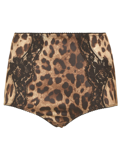 Dolce & Gabbana Floral Embroidered Animalier Print Panties In Leopard