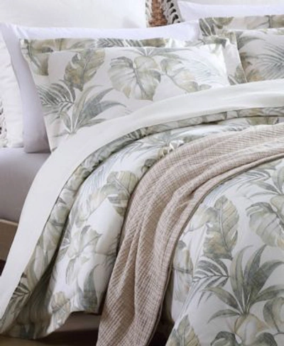 Tommy Bahama Home Tommy Bahama Waimea Bay Comforter Set Bedding In Sage