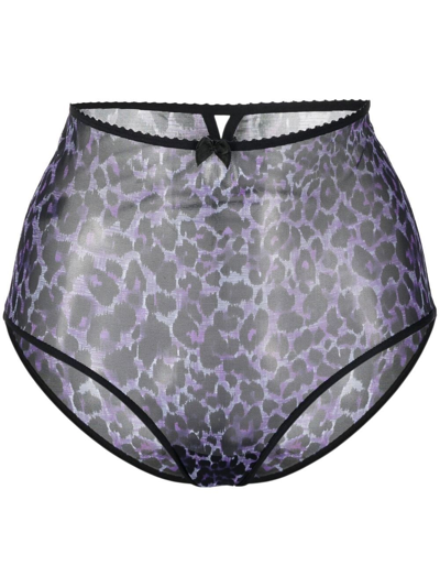 Marlies Dekkers Peekaboo High-waisted Briefs In Purple