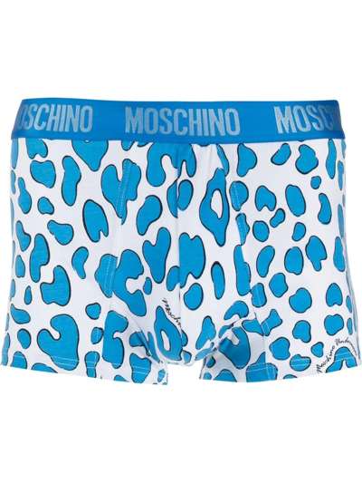 Moschino Leopard-print Boxer Briefs In Blue