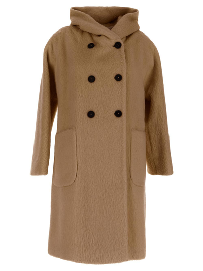 Hevo Sava Coat In Brown