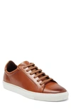 Winthrop Clay Leather Sneaker In Cognac