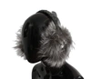 DOLCE & GABBANA GRAY FOX FUR CRYSTAL EAR MUFFS