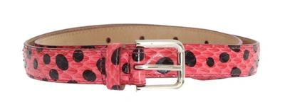 Dolce & Gabbana Pink Polka Snakeskin Silver Buckle Belt In Multicolor