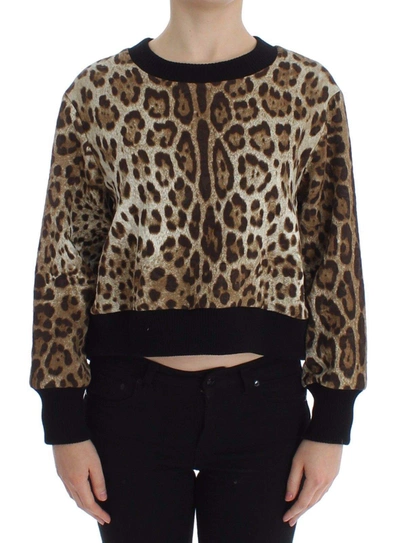 Dolce & Gabbana Leopard Print Crewneck Short Sweater In Brown