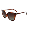 POLAROID PLD4065S SUNGLASSES