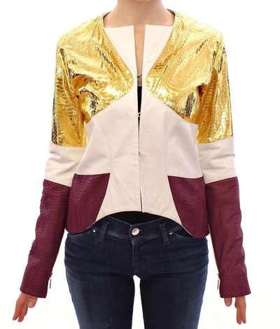 Vladimiro Gioia -gold Purple Leather Jacket In White
