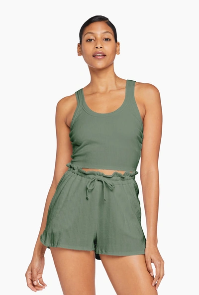 Vitamin A Thalia Organic Rib Crop Top In Agave Organic Rib