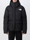 The North Face Hmlyn Down Parka In Black