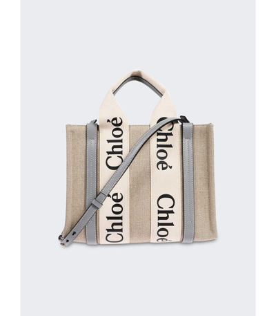 Chloé Small Woody Tote Bag White And Blue In Multi