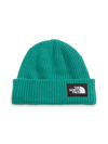 The North Face Salty Dog Beanie In Wasabi