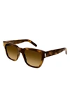 Saint Laurent Men's Saddle-bridge Rectangle Sunglasses In Havana