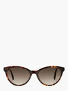 Kate Spade Adeline 55mm Gradient Cat Eye Sunglasses In Havana